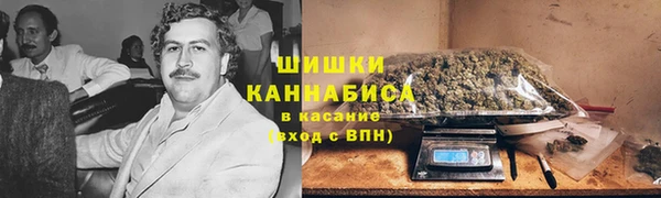 ГАЛЛЮЦИНОГЕННЫЕ ГРИБЫ Балабаново