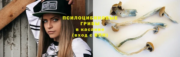 прущие крисы Баксан