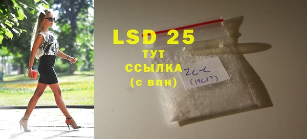 ГАЛЛЮЦИНОГЕННЫЕ ГРИБЫ Балабаново