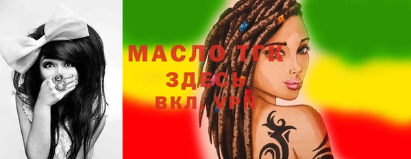 индика Балахна
