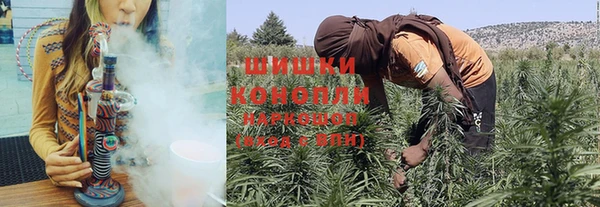 ГАЛЛЮЦИНОГЕННЫЕ ГРИБЫ Балабаново