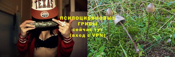 индика Балахна
