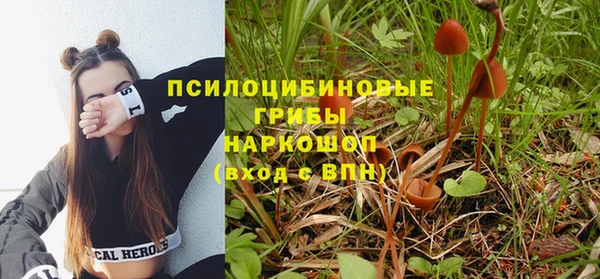 прущие крисы Баксан
