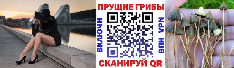 купить наркоту  Кондрово  Галлюциногенные грибы ЛСД 